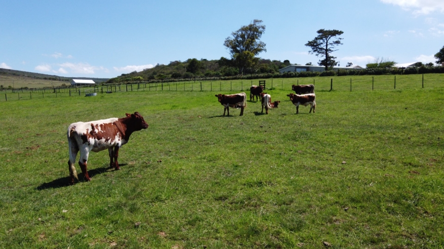 Commercial Property for Sale in Mossel Bay Rural Western Cape